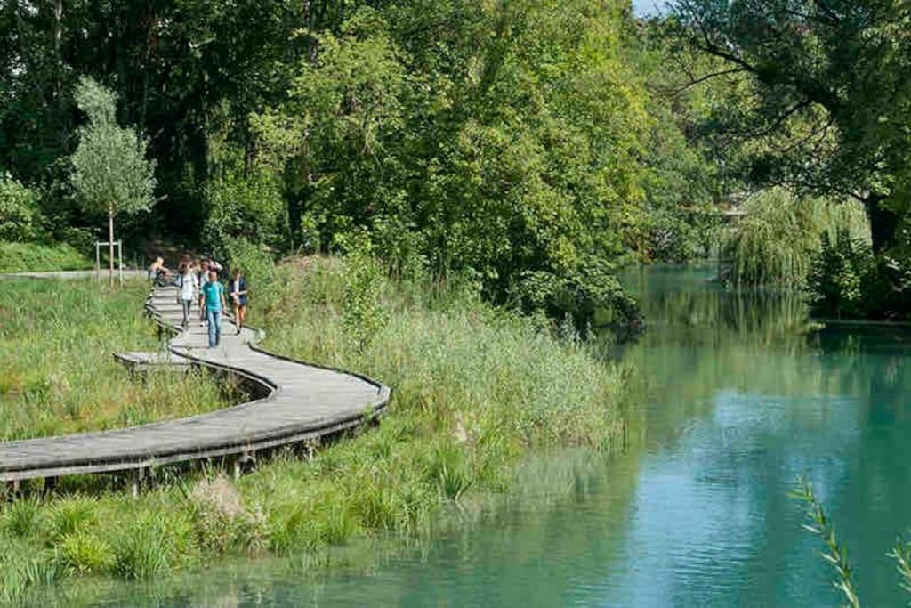 La Perle Du Thiou - Charmant T3 Au Centre D'Annecy Avec Parking Prive Kültér fotó