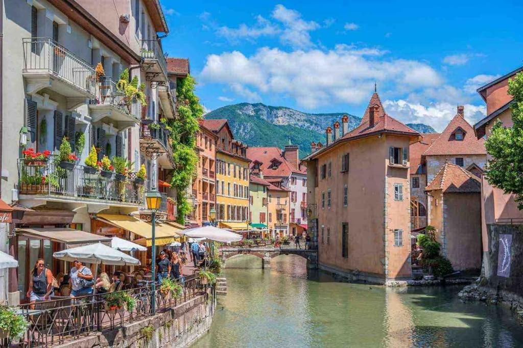 La Perle Du Thiou - Charmant T3 Au Centre D'Annecy Avec Parking Prive Kültér fotó