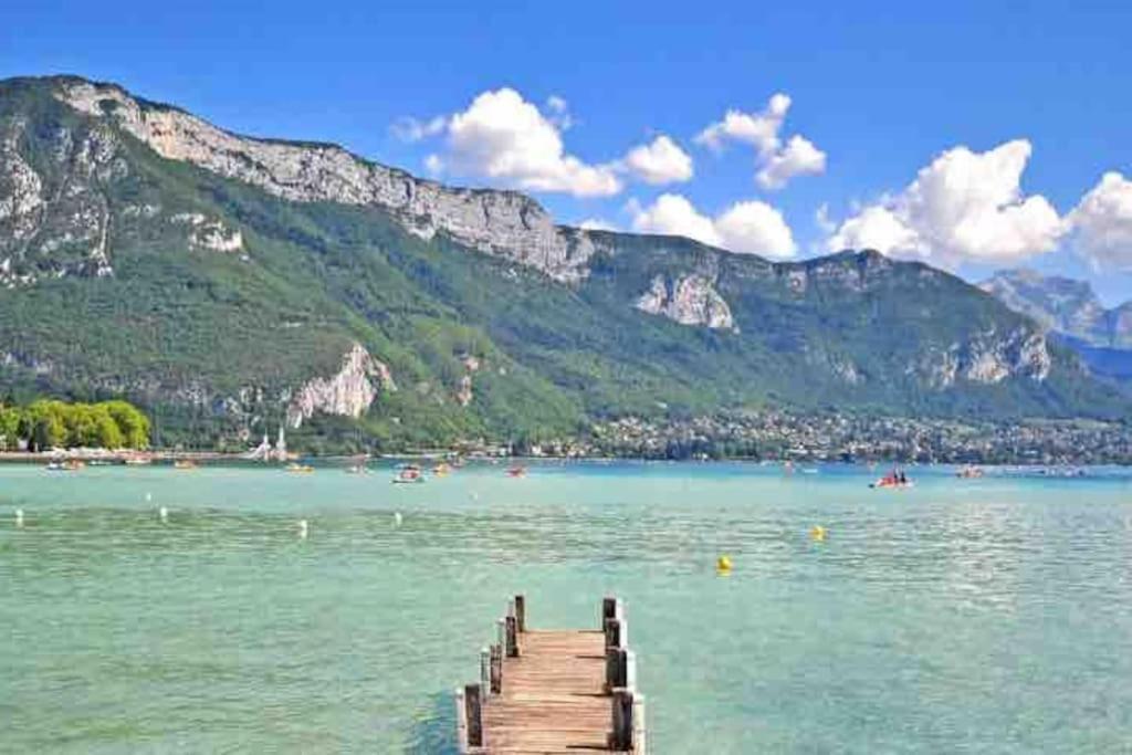 La Perle Du Thiou - Charmant T3 Au Centre D'Annecy Avec Parking Prive Kültér fotó